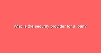 who is the security provider for a loan 5639