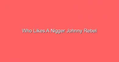 who likes a nigger johnny rebel 20519