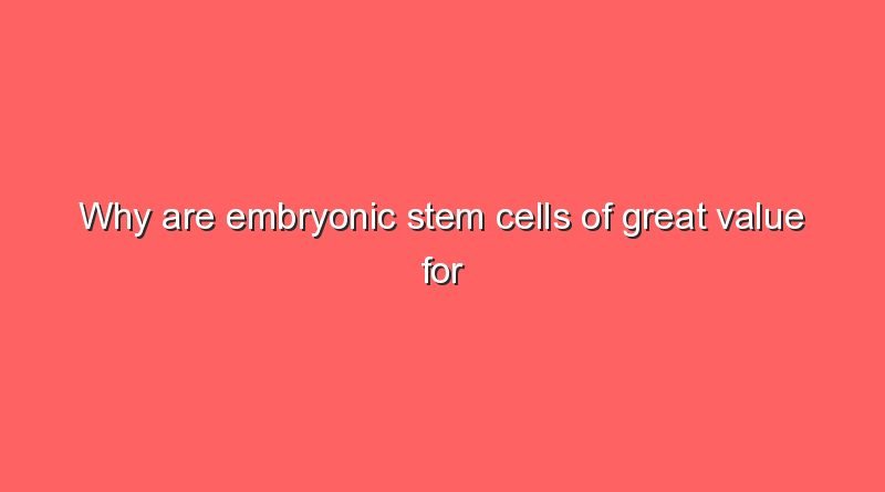 why are embryonic stem cells of great value for research 8969