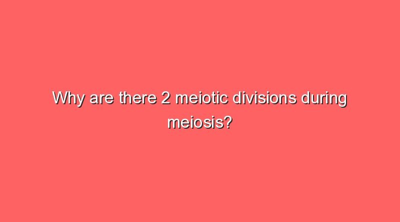 why are there 2 meiotic divisions during meiosis 11494