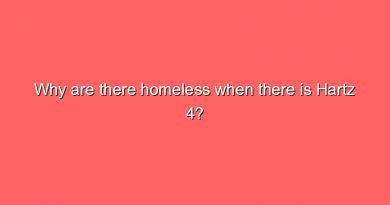 why are there homeless when there is hartz 4 9773