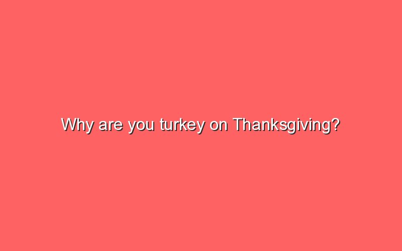 why-are-you-turkey-on-thanksgiving-sonic-hours