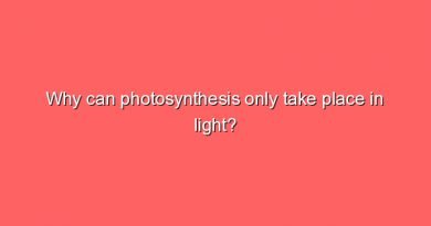 why can photosynthesis only take place in light 5080