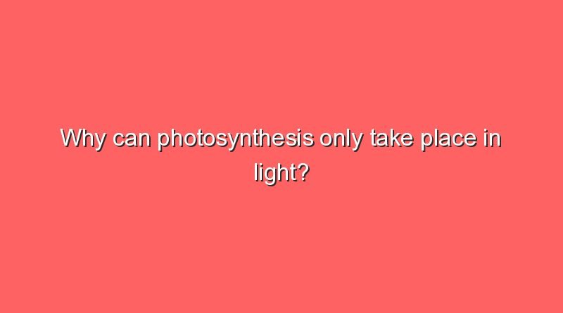why can photosynthesis only take place in light 5080