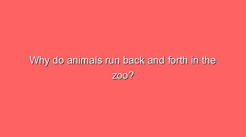 why do animals run back and forth in the zoo 10692