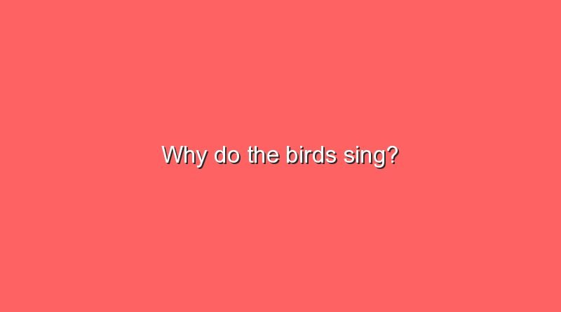 why do the birds sing 8284