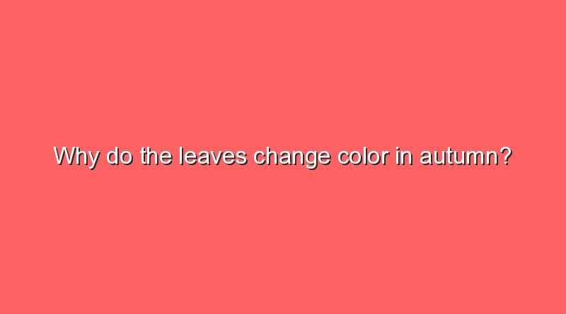 why do the leaves change color in autumn 11597