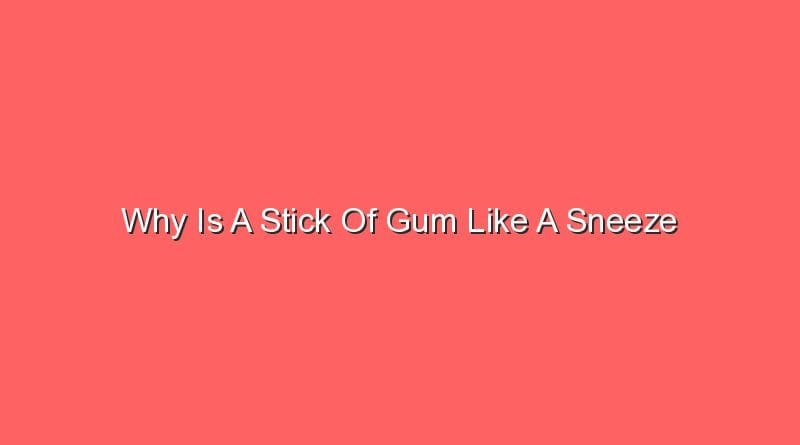 why-is-a-stick-of-gum-like-a-sneeze-sonic-hours