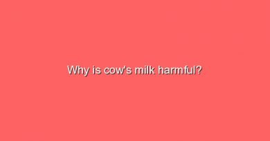 why is cows milk harmful 10566