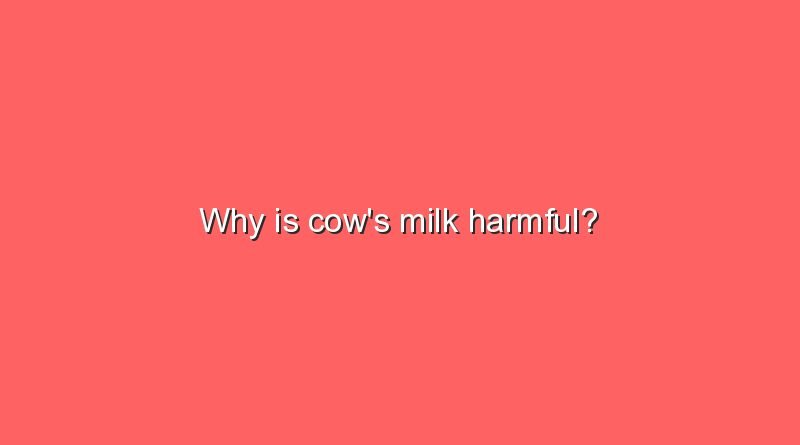 why is cows milk harmful 10566