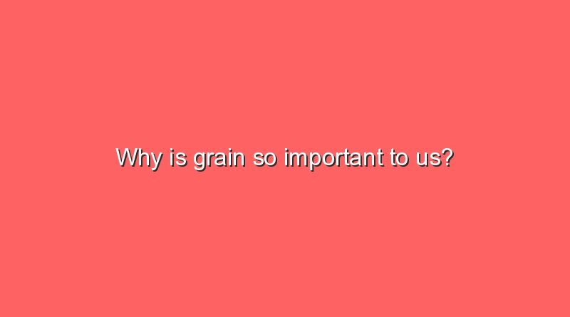 why is grain so important to us 6838