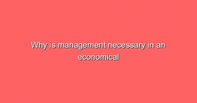 why is management necessary in an economical company 10426