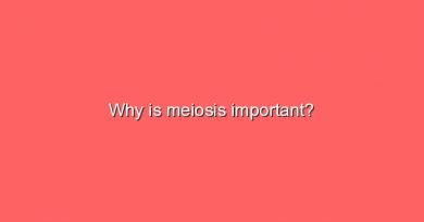 why is meiosis important 8092