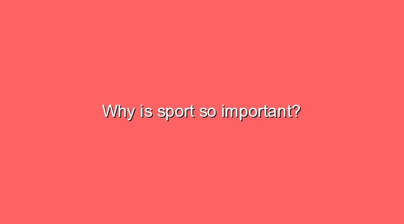why is sport so important 7917
