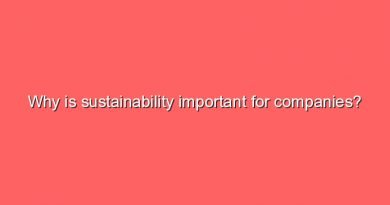 why is sustainability important for companies 7246