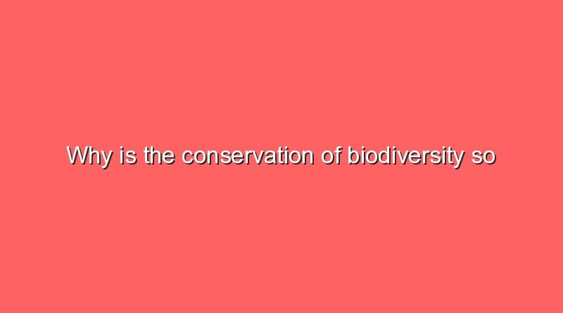 why is the conservation of biodiversity so important 5613