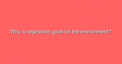 why is vegetarian good for the environment 8671