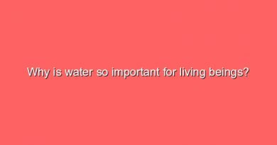 why is water so important for living beings 8987