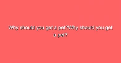 why should you get a petwhy should you get a pet 9701