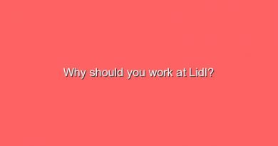 why should you work at lidl 2 9786