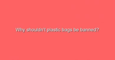 why shouldnt plastic bags be banned 6848