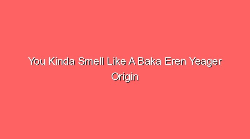 you kinda smell like a baka eren yeager origin 20541