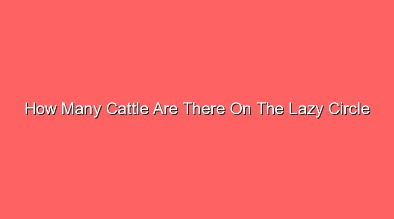 how many cattle are there on the lazy circle worksheet 31389 1