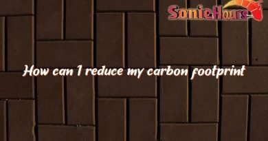 how can i reduce my carbon footprint 5028