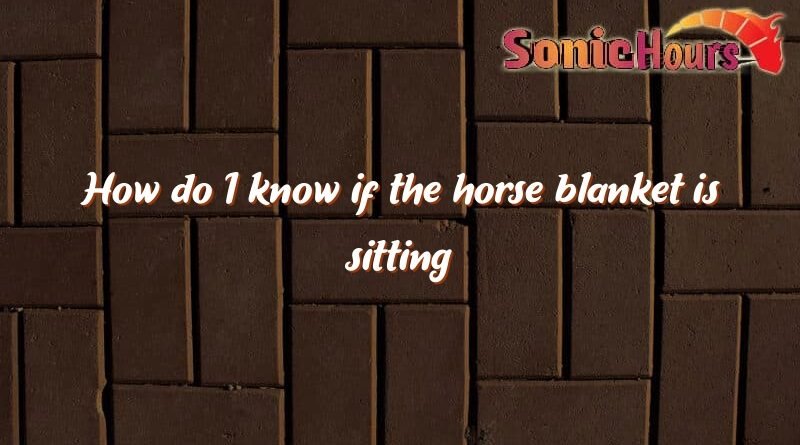 how do i know if the horse blanket is sitting correctly 2039