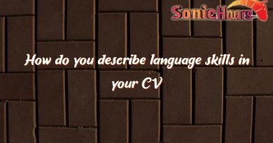 how do you describe language skills in your cv 2576