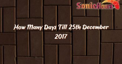 how many days till 25th december 2017 31518