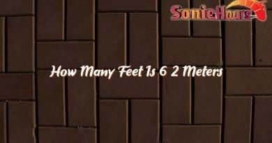 how many feet is 6 2 meters 31690