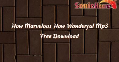 how marvelous how wonderful mp3 free download 32387
