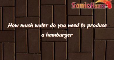 how much water do you need to produce a hamburger 4811