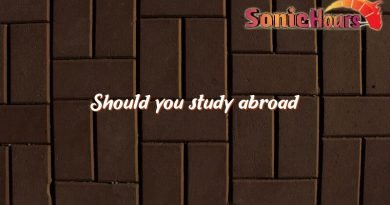 should you study abroad 3159