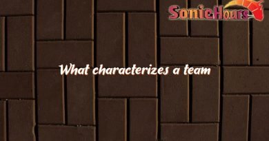 what characterizes a team 2419