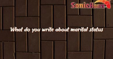 what do you write about marital status 3119