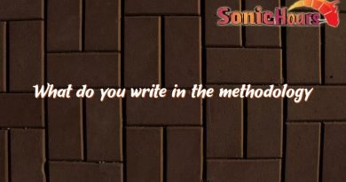 what do you write in the methodology 3841