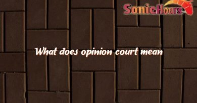 what does opinion court mean 3505