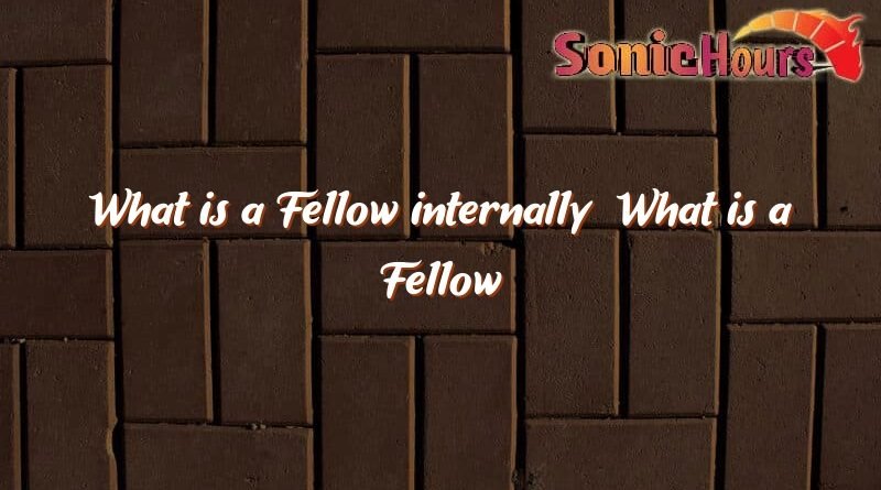 what is a fellow internally what is a fellow internally 3228