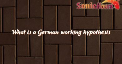 what is a german working hypothesis 4644