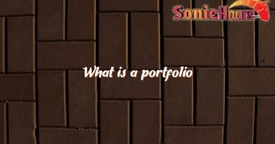 what is a portfolio 2460