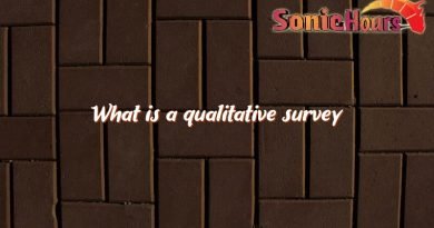 what is a qualitative survey 4318