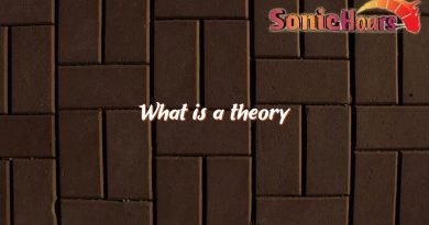 what is a theory 4338