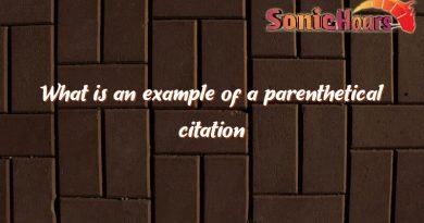 what is an example of a parenthetical citation 4091