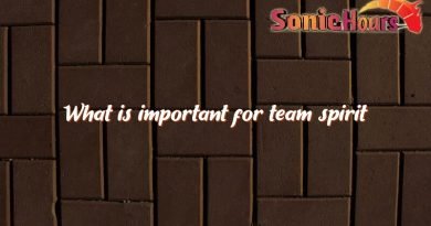 what is important for team spirit 3167