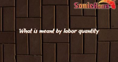 what is meant by labor quantity 4266