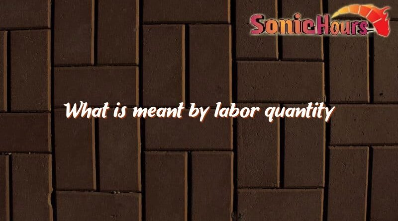 what is meant by labor quantity 4266