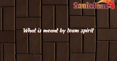 what is meant by team spirit 3317