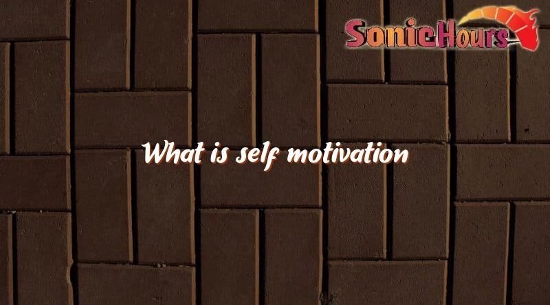 what is self motivation 2064